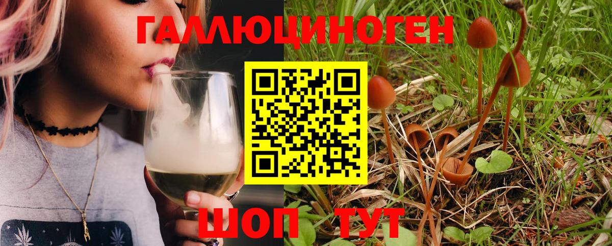Белебей  Псилоцибиновые грибы MAGIC MUSHROOMS  Вход с VPN 